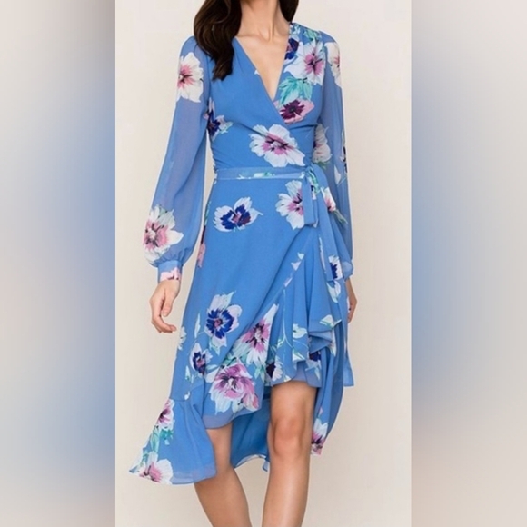 Yumi Kim Dresses & Skirts - Yumi Kim Anthropologie Blue Floral Long Sleeve Dress Size Small VGUC PTP 18